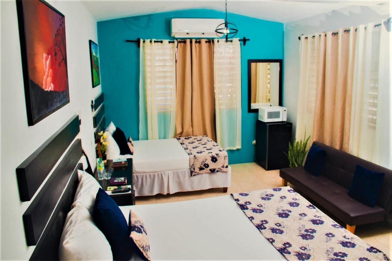 Eventuality B&B New Κίνγκστον Εξωτερικό φωτογραφία