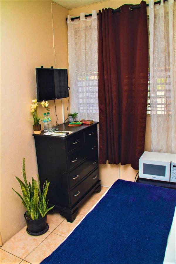 Eventuality B&B New Κίνγκστον Εξωτερικό φωτογραφία